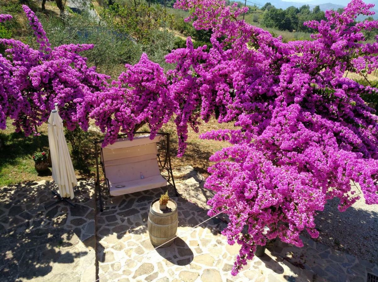 Agriturismo Il Marchese Aquara Ngoại thất bức ảnh